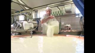 Come si fa il formaggio Asiago Tutte le risposte in questo video [upl. by Aiek]