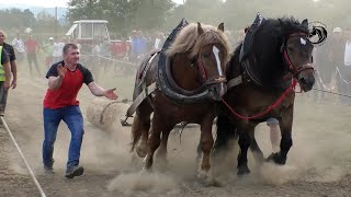 SLOVAK GONIO LISCA I HERKULESA DO POBJEDE U GAREVCIMA I PORUČIO POBJEDIĆEMO SIMIĆE U ŽARKOVCU [upl. by Nyrraf747]