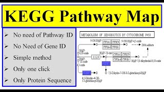 KEGG pathway map in tbtool [upl. by Nanek237]