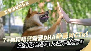 PURINA® PRO PLAN® 毛孩研究所  貓犬健康成長飲食錦囊 年長7狗狗篇 [upl. by Emiline576]