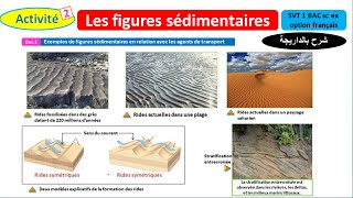 Les figures sédimentaires svt 1 Bac sc ex option français شرح بالداريجة [upl. by Acirre]