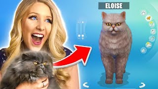 Making My Cat A Sims Account Funny Sims 4 Challenge [upl. by Mairem]