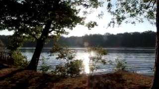 Mississippi River State Park Arkansas [upl. by Yesor]