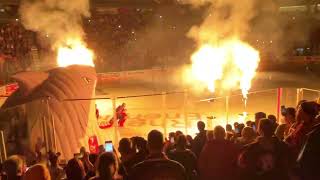 Opening of Kölner Haie game at Laxness Arena in Cologne Germay 112022 [upl. by Shandee]