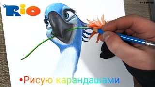 Как Я рисую карандашами птицу из РИО Туториал  How I draw a bird from RIO with pencils Tutorial [upl. by Groeg]