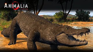 Animalia Survival Crocodile life [upl. by Attenweiler]