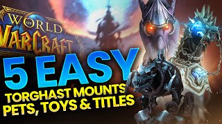 How to EASILY Get 5x Mounts 2x Pets Toys amp Titles in Torghast QUICK GUIDE [upl. by Ledeen]