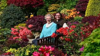 Step into the Four Seasons Stunning drone pictures reveal greenfingered couples garden oasis [upl. by Isia885]