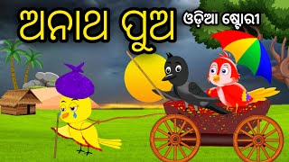 ଅନାଥ ପୁଅ  Anatha Pua  Tiki Chadhei Odia Gapa Odia Bird Story Chadhei gappa Odia Moral story [upl. by Travus]