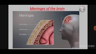 meninges and CSF  Anatomy L11  Revision [upl. by Eimor222]