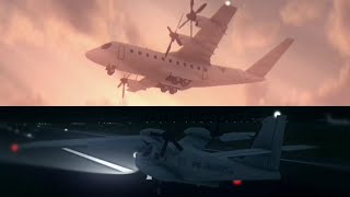 Oceanic Private Airways Flight 9241  Mainports Authority PS26  Collision Animation  TFS [upl. by Zacks]