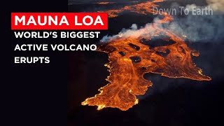 Mauna Loa worlds biggest active volcano erupts after 38 years [upl. by Tollmann]