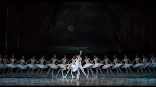 Лебединое озеро  Swan Lake [upl. by Orlena]