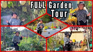 FULL Winter Garden Tour wTips amp Ideas for Planting in Spring Vegetables Flowers Container Gardening [upl. by Hazeghi]