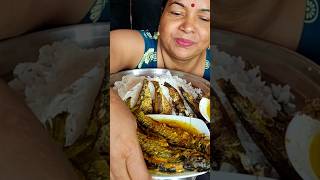 Eating Spicy🌶️ Bhola Fish Curry With Huge Rice🤤🤤viralvideo shorts eatingshow [upl. by Blasien761]