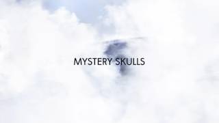 Mystery Skulls  Live Forever Official Audio [upl. by Eisyak200]