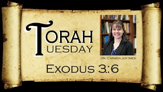 Torah Tuesday  Exodus 36 [upl. by Naujuj]