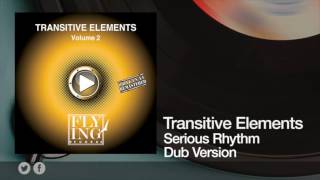 Transitive Elements  Serious Rhythm Dub Version [upl. by Revorg533]