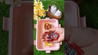 Chocolate lunch box idea 🍫🍱 Ushnaabbasi subscribe food support chocolate ushna likeforlikes [upl. by Juley]