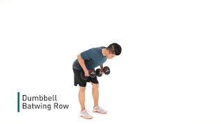 Dumbbell Batwing Row [upl. by Grand]