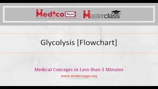 Glycolysis Embden Meyerhof Pathway  Flowchart [upl. by Hirschfeld]