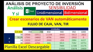 Análisis Proyecto Inversión Puntos Críticos Escenarios VAN sensibilidad Y Si flujo caja TIR [upl. by Nossila]