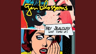 Hey Jealousy Live [upl. by Pollux10]