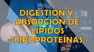 DIGESTIÓN Y ABSORCIÓN DE LÍPIDOS  LIPOPROTEINAS [upl. by Hackett377]