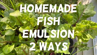 How to Make Homemade Fish Emulsion 2 ways  Fertilizer Shortage  Container Gardening [upl. by Tnahs61]