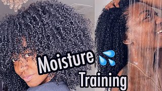 How to Moisture Train Low Porosity Natural Hair GET THOSE CURLS POPPIN FREN [upl. by Kawasaki178]