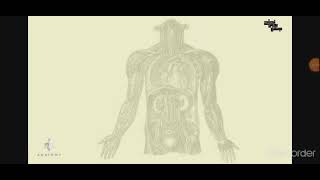 L11 Cerebral meninges and CSF Anatomy [upl. by Daye]