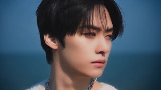 SKZ Playlist 내 심장을 울리는 스트레이키즈 노래모음🎸 [upl. by Clotilda]