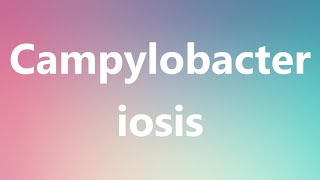 Campylobacteriosis  Medical Definition and Pronunciation [upl. by Mears]