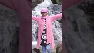 Rock Garden Darjeeling shorts shortvideo travel [upl. by Sinnej]