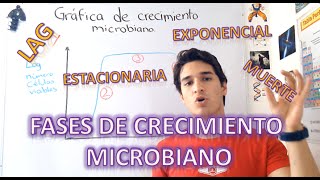 Gráfica y fases de crecimiento microbiano EN 4 MINUTOS [upl. by Zoes]