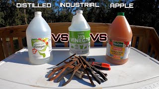 Which Vinegar Works Best at REMOVING RUST From TOOLS [upl. by Ahseid]