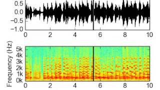 Waveform and Spectrogram Video using python wav file [upl. by Lehpar]