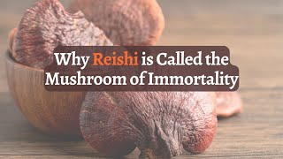 Mushroom of IMMORTALITY Reishis Hidden Health Benefits Revealed [upl. by Euqinoj]