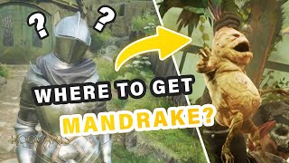 Where to get Mandrake from Dogweed and Deathcap Location ► Hogwarts Legacy [upl. by Neeluj362]