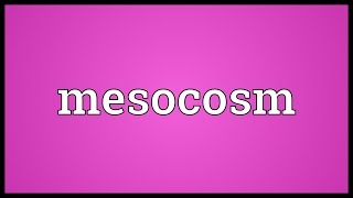 Mesocosm Meaning [upl. by Ahsirtal]