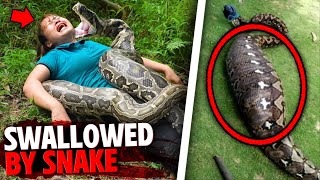 This Woman Was EATEN ALIVE amp Swallowed Whole By BIG Python Snake [upl. by Safier380]