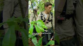 The men scream at a snake  The Island with Bear Grylls [upl. by Ecnarf]