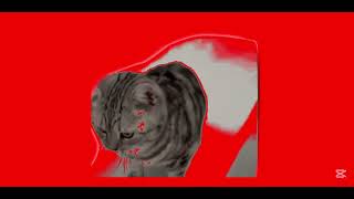 cat vomit red screen [upl. by Marmaduke]