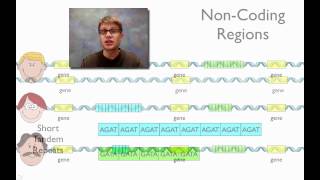 DNA Fingerprinting [upl. by Yecak784]