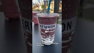 Trying Olivia Rodrigo amp Hailey Bieber’s 18 Smoothies [upl. by Kinnon]