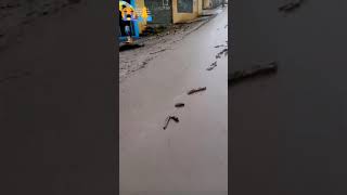 Aluvión QuitoEcuador sector la comuna y la Gasca 🌧️🙏🙏 [upl. by Nwahshar]