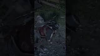 RDR2 online Pigs skinned challenge [upl. by Gussi]