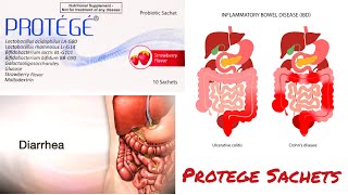 PROTEGE uses in urdu Hindi  Inflammatory Bowel Disease [upl. by Ahsikat641]