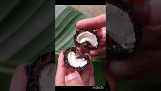 Cashew nut healthy shortsfeed shortvideo [upl. by Elohcan]