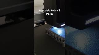 Anycubic Kobra 3 PETG printing [upl. by Airot]